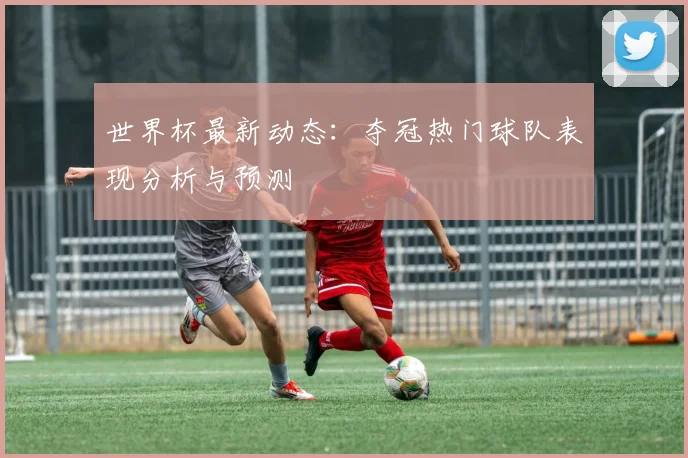 世界杯最新动态：夺冠热门球队表现分析与预测